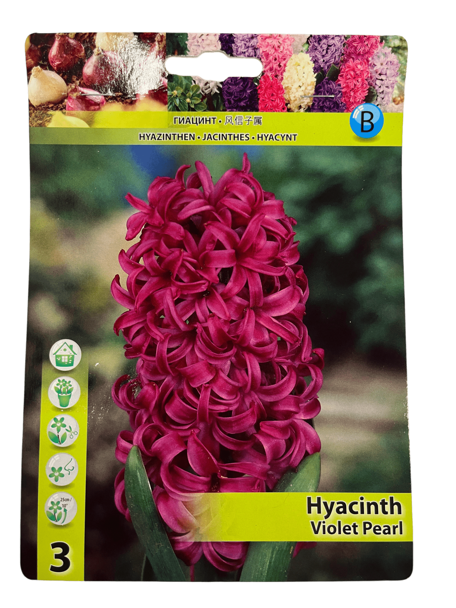  STAR CAPPERLINE STA ГИАЦИНТ VIOLET PEARL (X3),