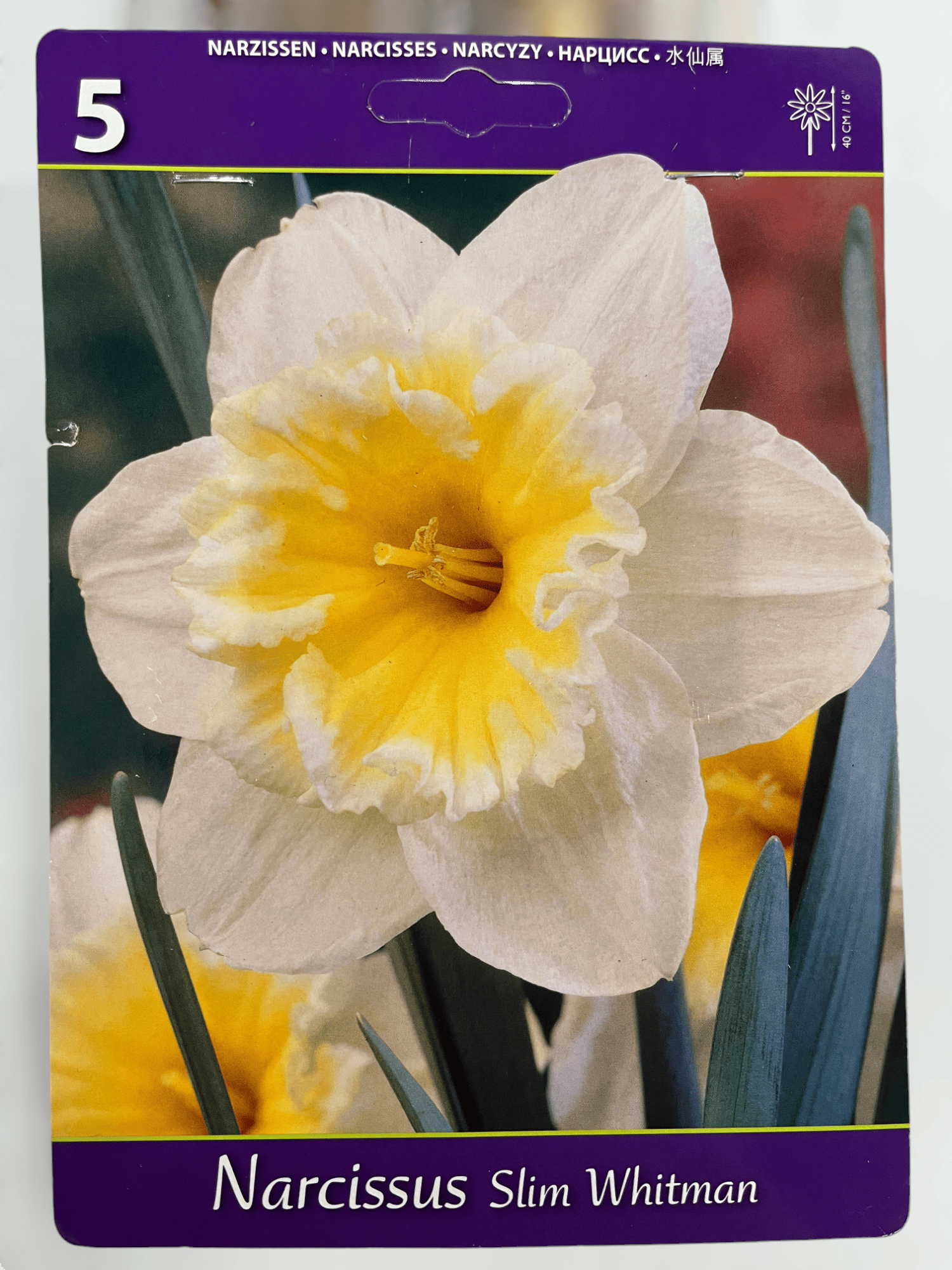 BEST BUY CAPPERLINE BES НАРЦИСС SLIM WHITMAN (X5),