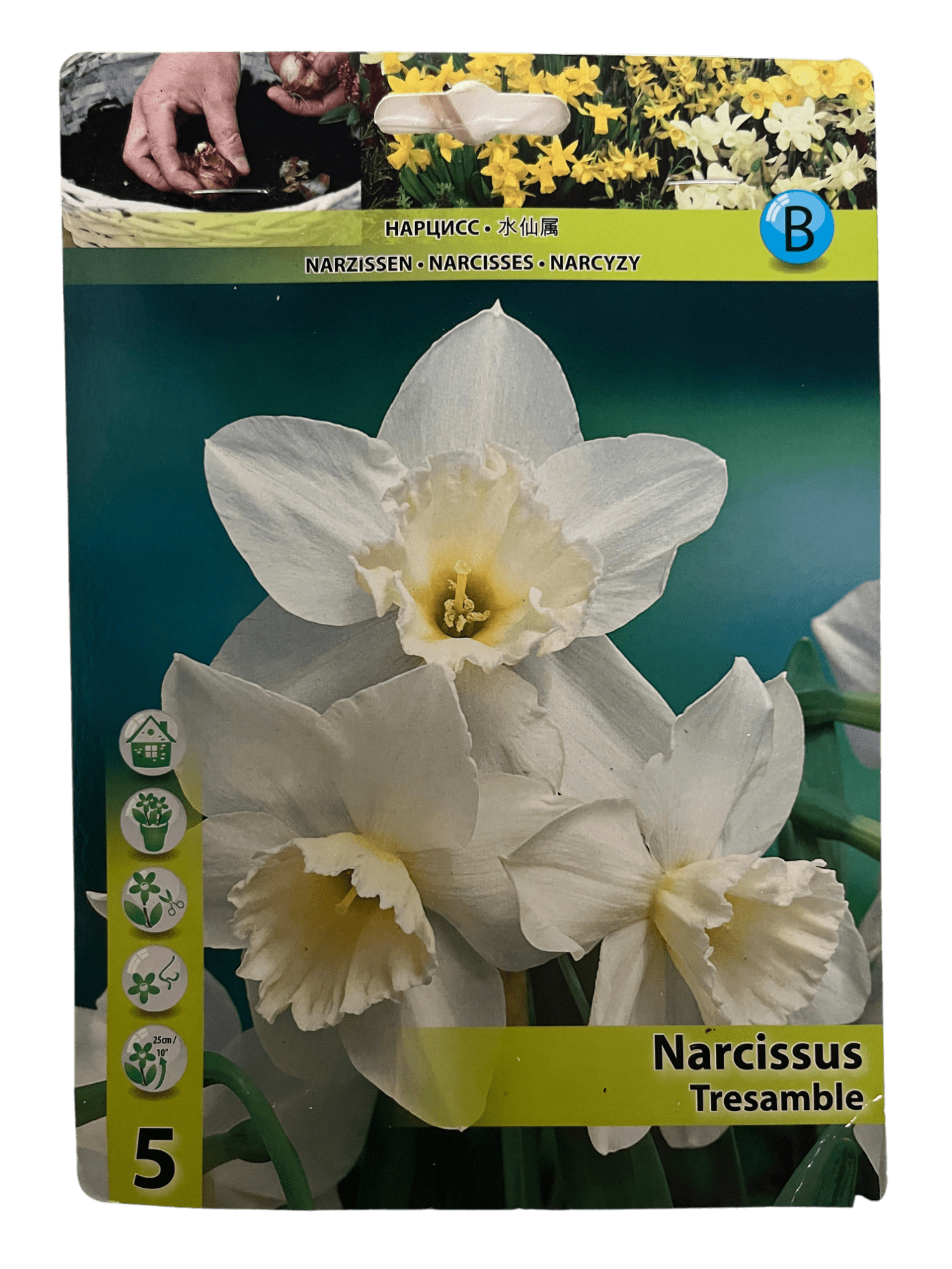 STAR CAPPERLINE STA НАРЦИСС TRESAMBLE (X5),