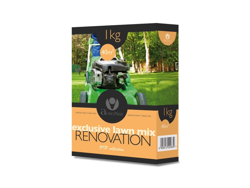 VIP RENOVATION 1 KG