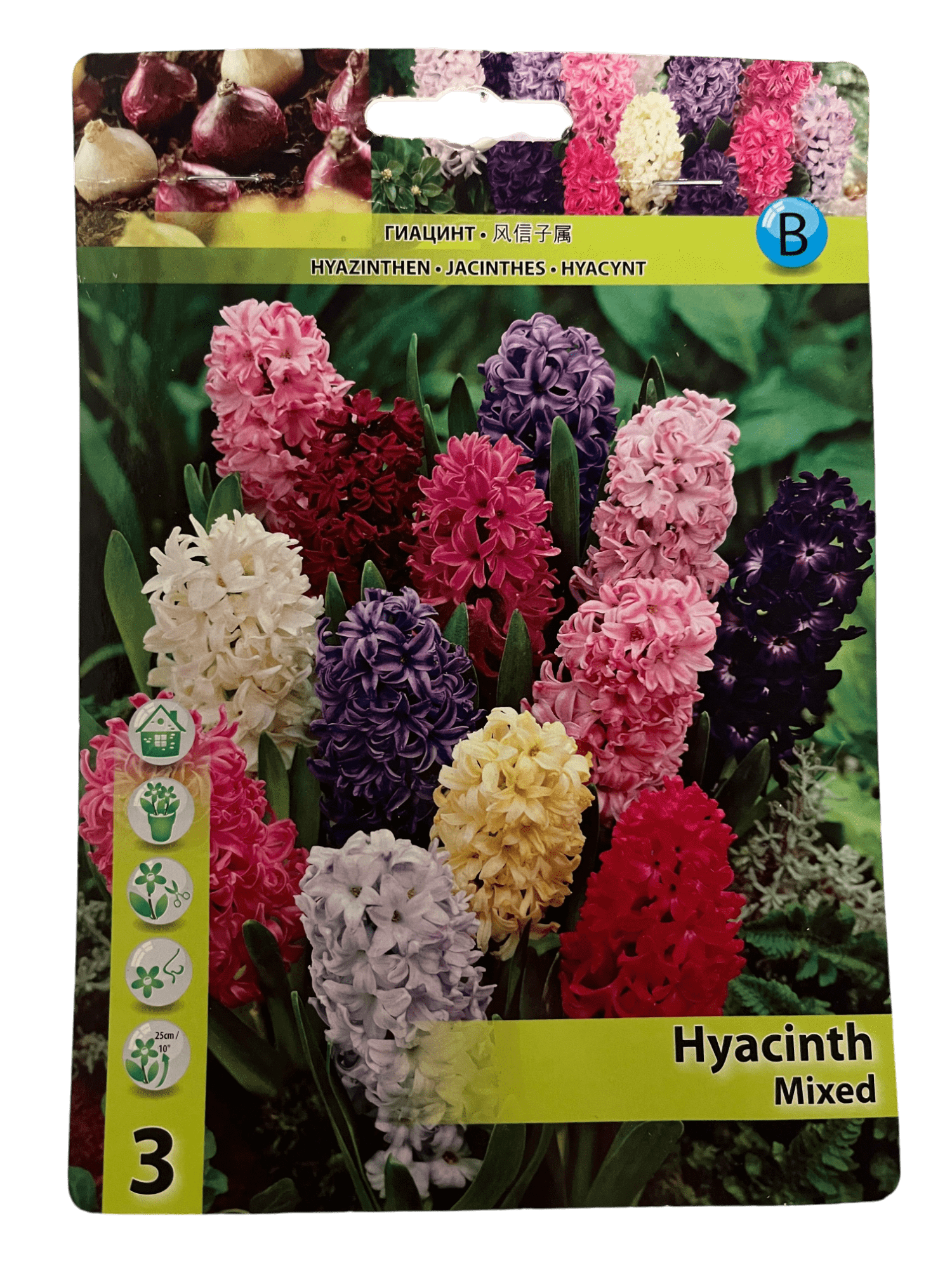 STAR CAPPERLINE STA ГИАЦИНТ SINGLE MIXED (X3),