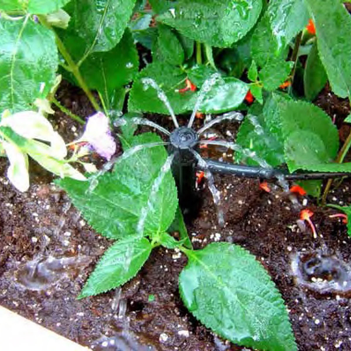 Капельница GOCCIOLATORE 360 AD INNESTO.