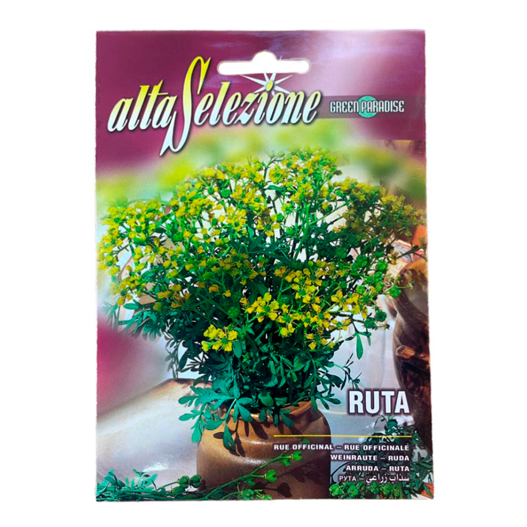 Рута  OFFICINALE