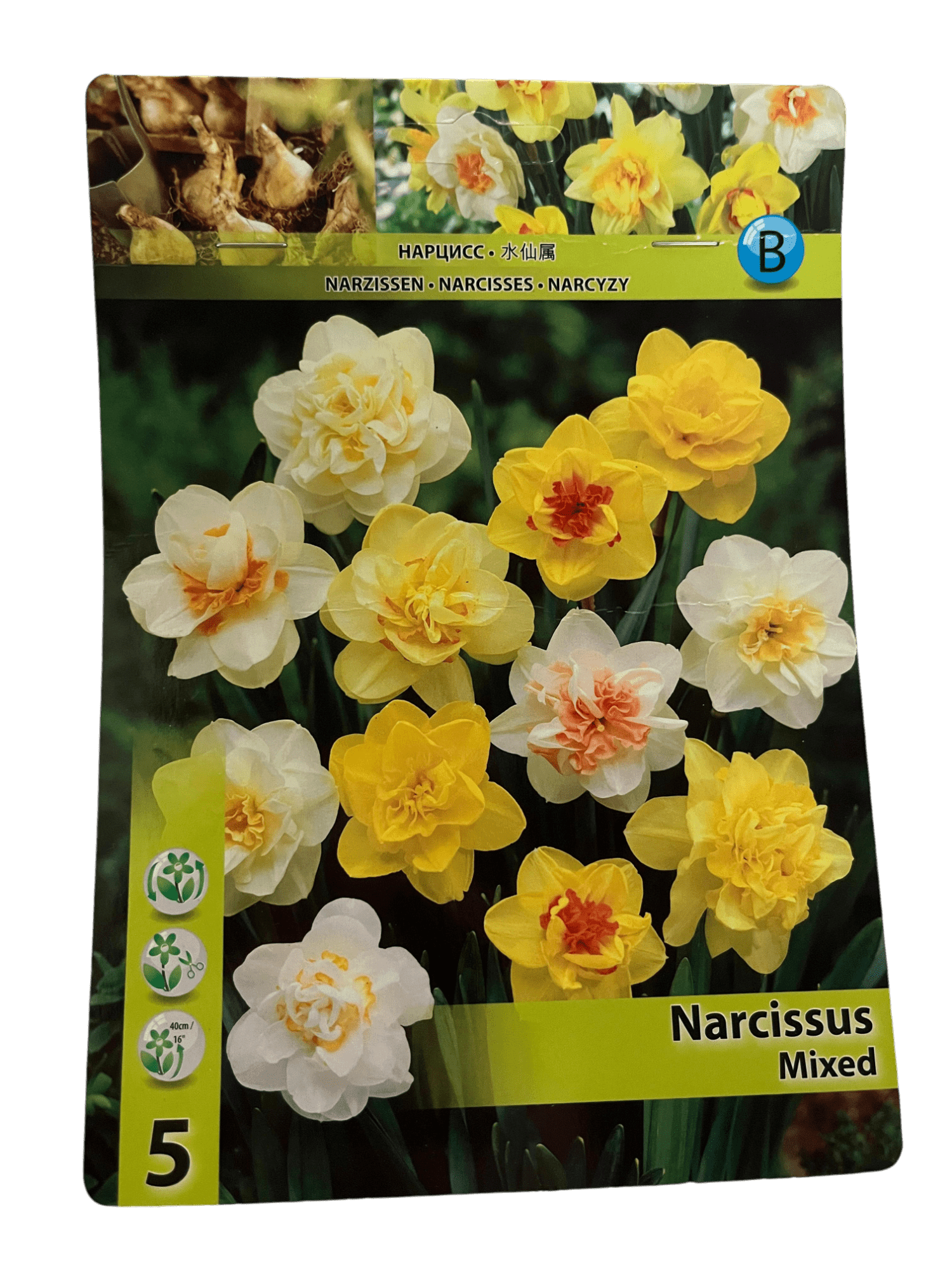 STAR CAPPERLINE STA НАРЦИСС DOUBLE MIXED (X5),