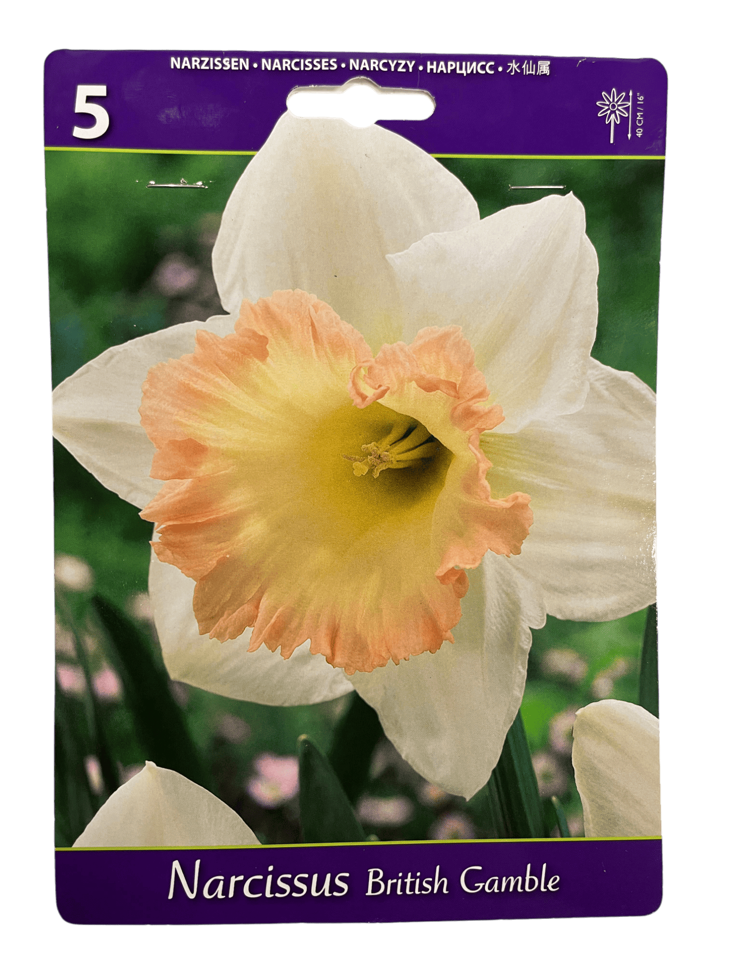  BEST BUY CAPPERLINE BES НАРЦИСС BRITISH GAMBLE (X5),