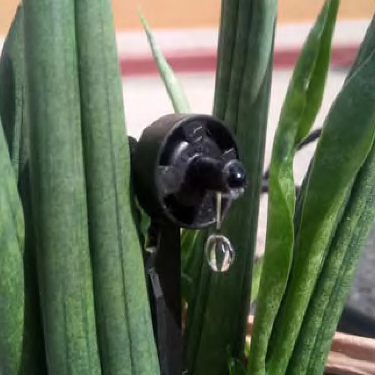 Капельница BUG - PC DRIPPER 4L/H BARBED.