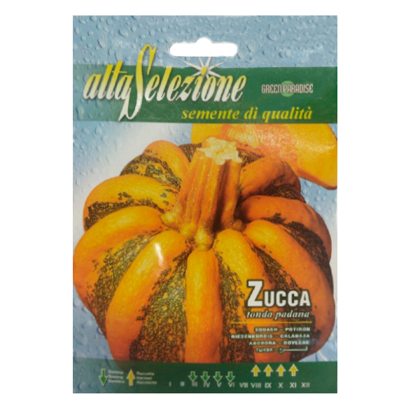 Тыква TONDA PADANA