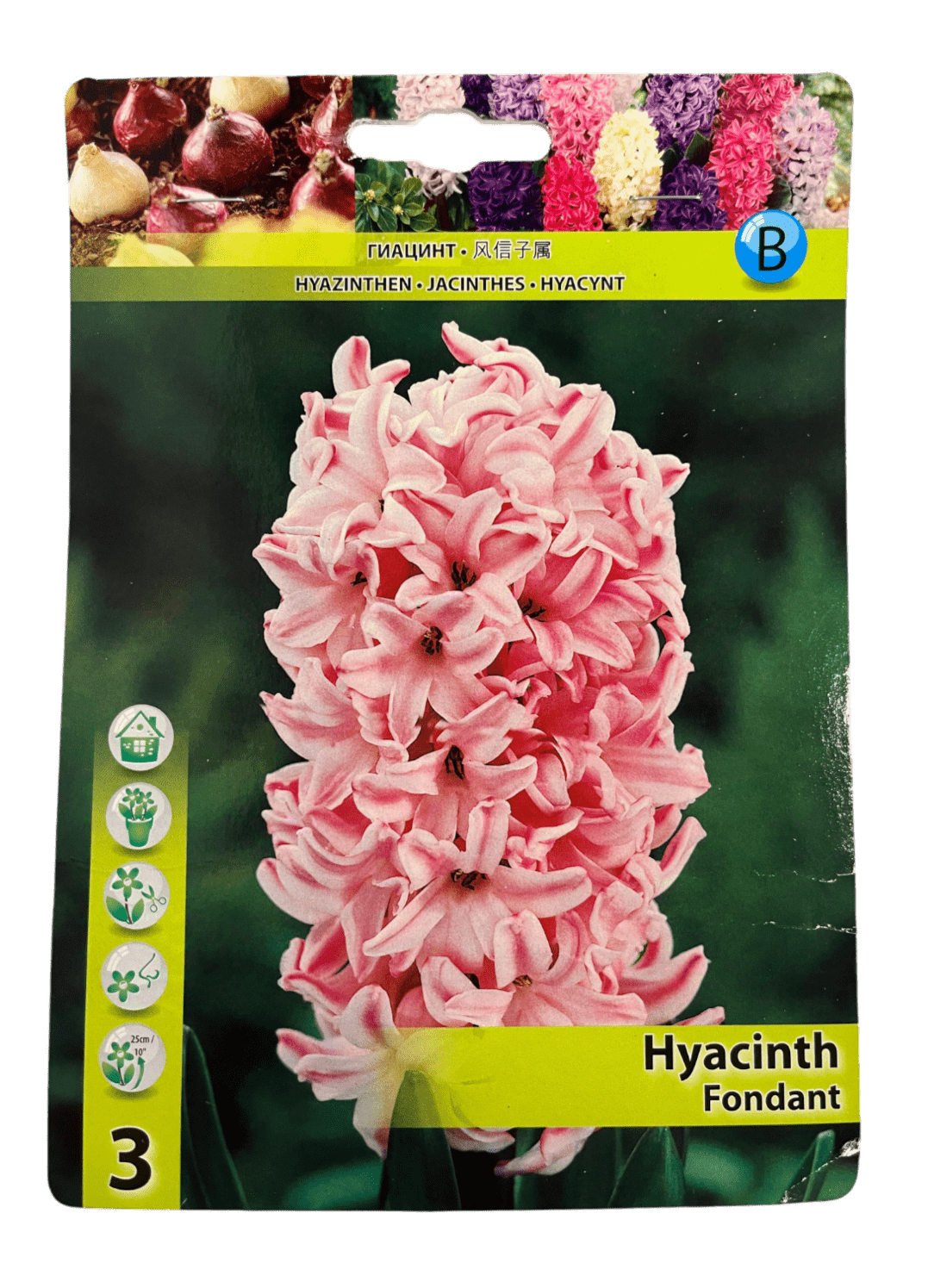 STAR CAPPERLINE STA ГИАЦИНТ FONDANT (X3),