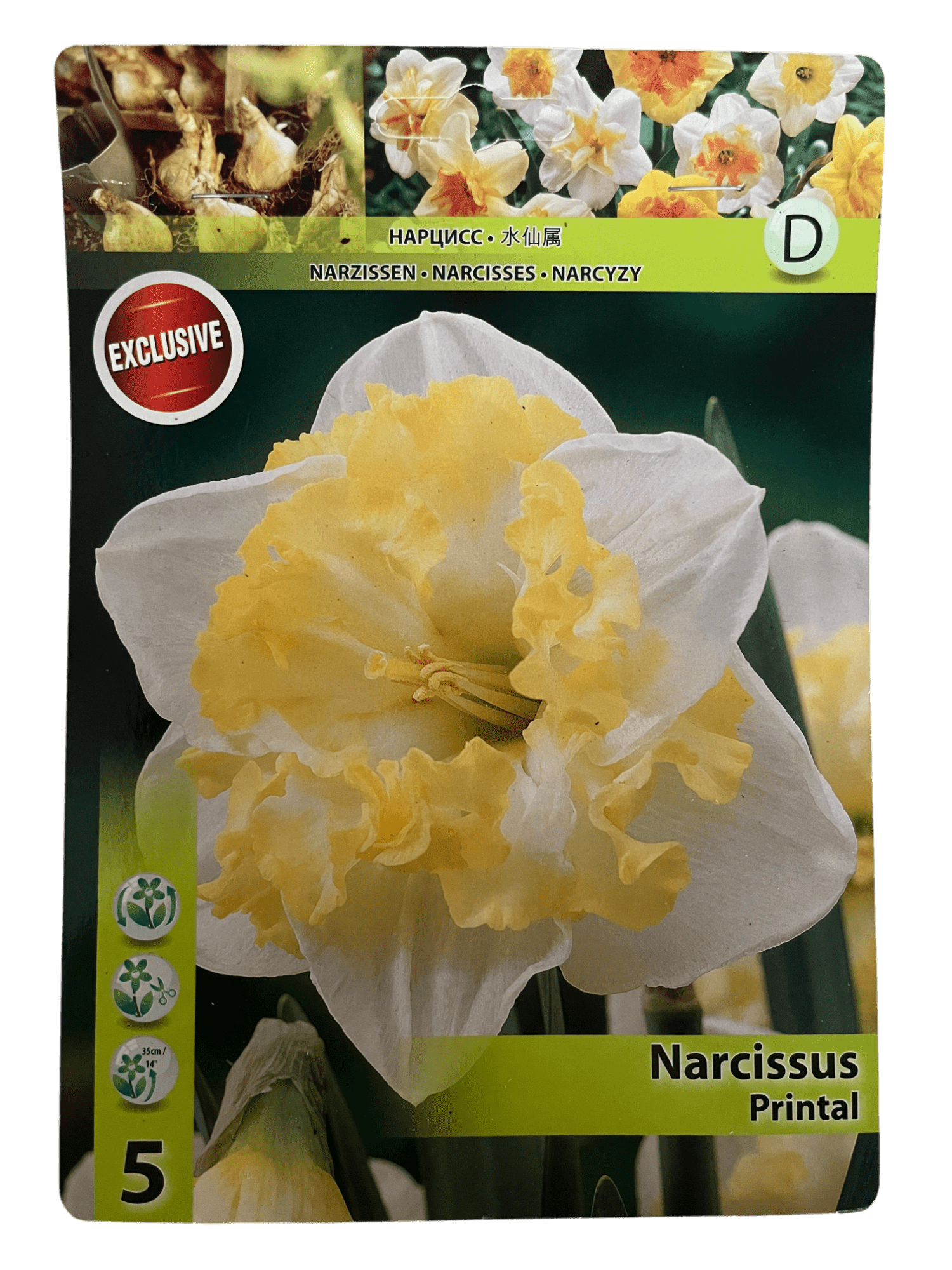 STAR CAPPERLINE STA НАРЦИСС PRINTAL (X5),