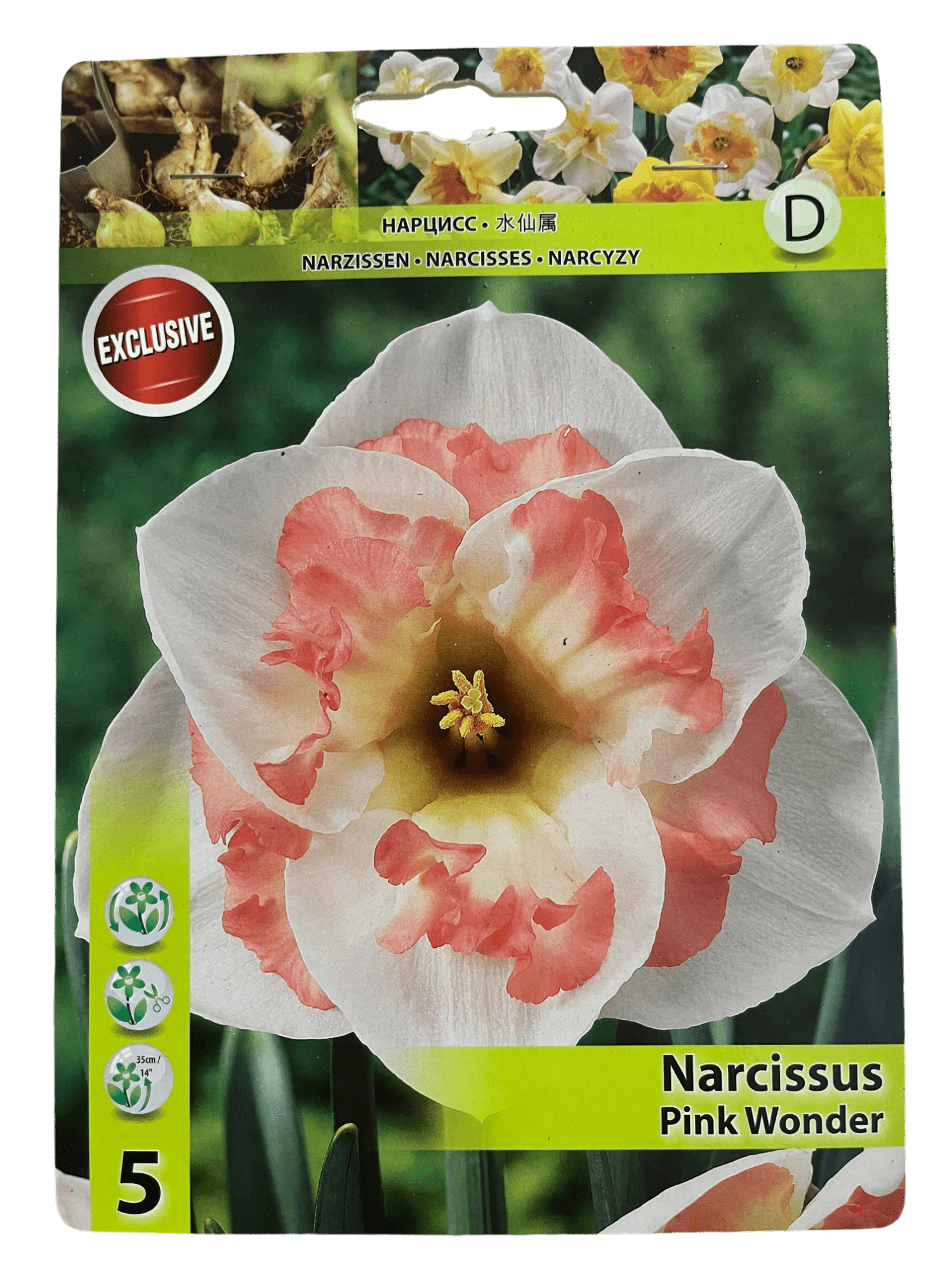 STAR CAPPERLINE STA НАРЦИСС PINK WONDER (X5),