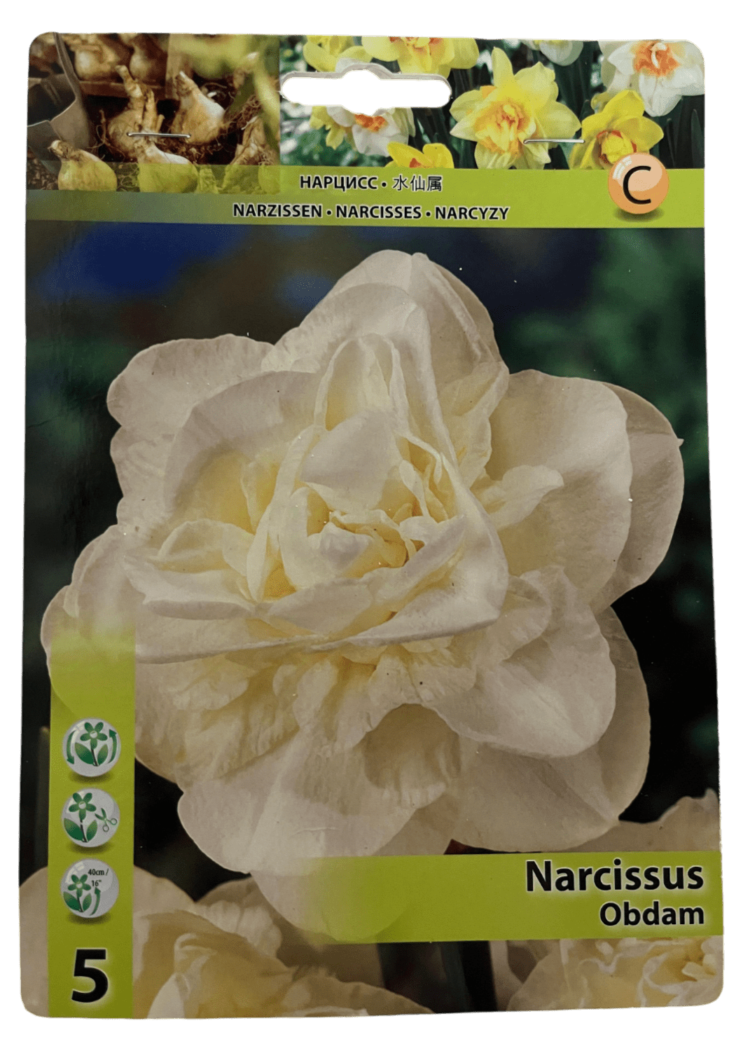 STAR CAPPERLINE STA НАРЦИСС OBDAM (X5),