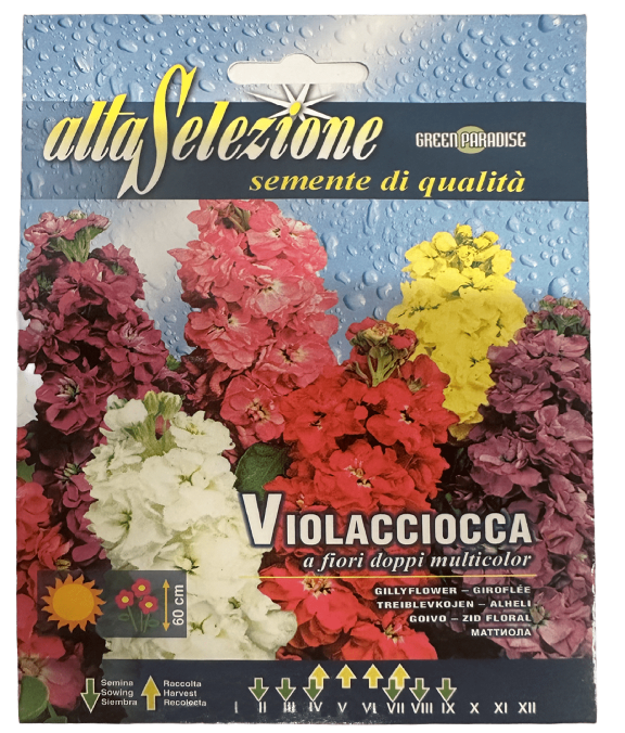 Фиалковый микс MIX