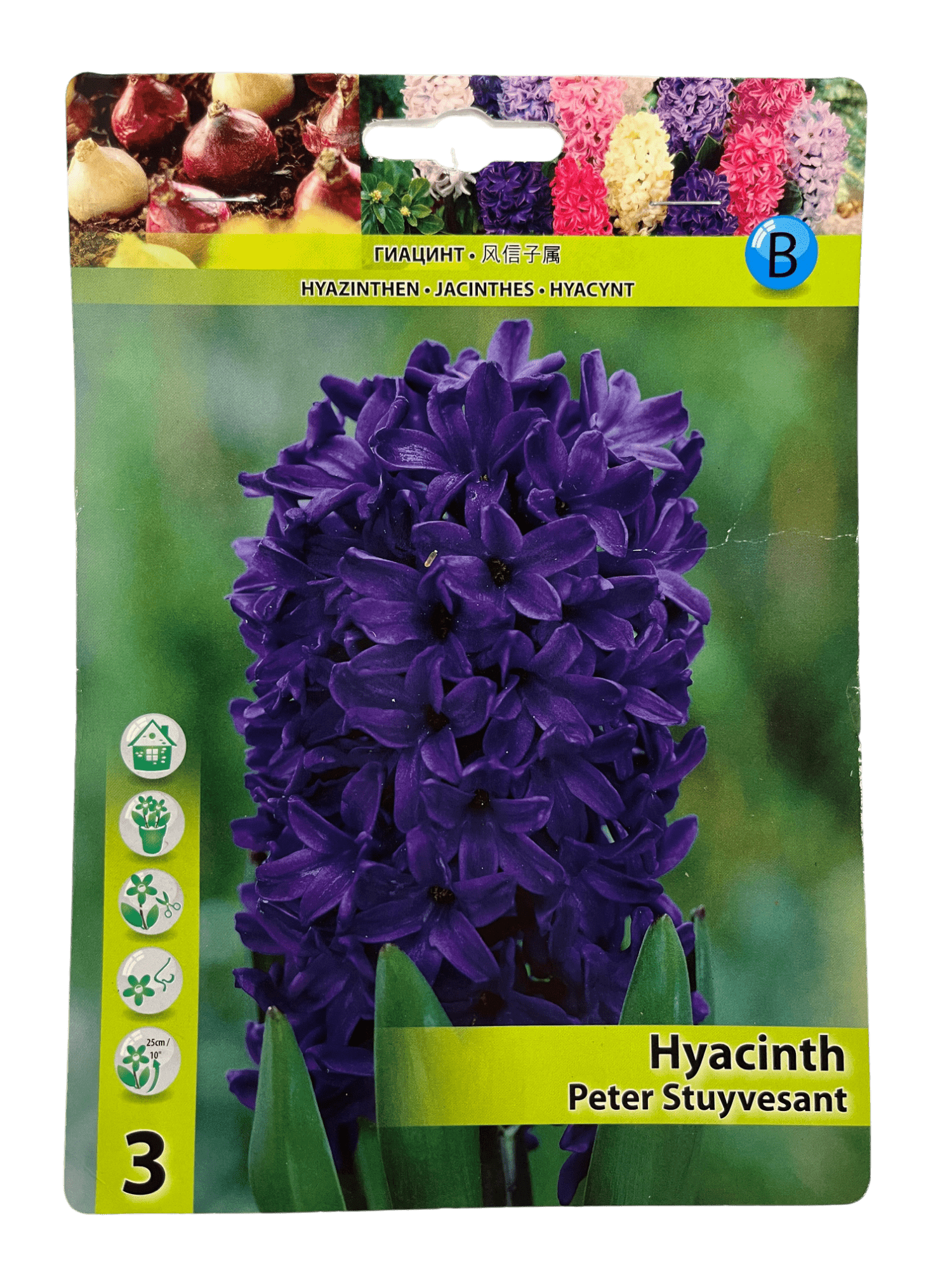 STAR CAPPERLINE STA ГИАЦИНТ PETER STUYVESANT (X3),